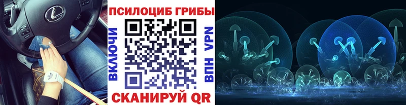 Псилоцибиновые грибы Psilocybe  Сясьстрой 